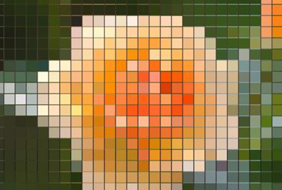 Understanding Vector and Bitmap